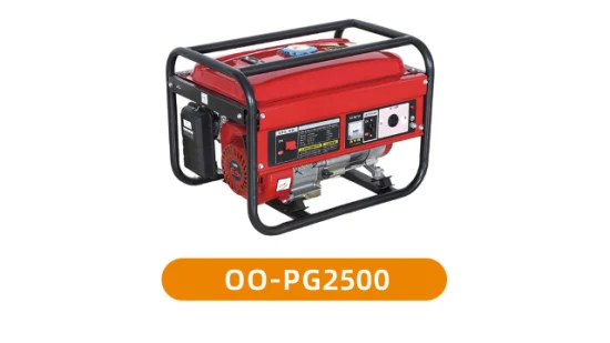 2000W Portable Professional Gasoline Generator
